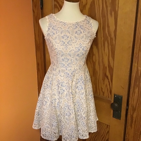 Feminine lace fit & flare dress - Picture 12 of 13